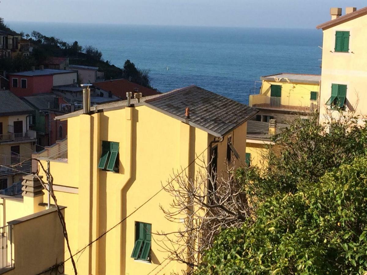 Apartment Zagara